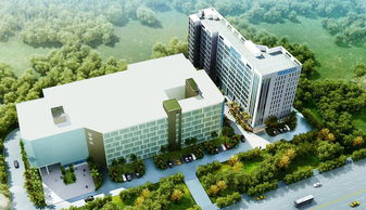 實(shí)際面試的是高新興機(jī)器人公司,他的子公司 看準(zhǔn)網(wǎng)