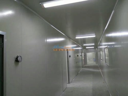 陜西食品廠車間凈化工程裝修 河南豫凈環?？萍嫉慕鉀Q方案