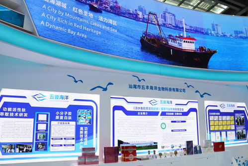 向海圖強，攜手繪就藍色發展新畫卷——深圳汕尾合作助推海洋經濟高質量發展