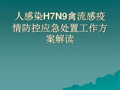 德陽青年海外新征程 網絡游戲推廣與技術服務機遇探索